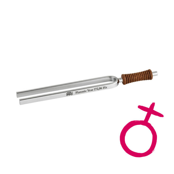 Meinl Sonic Energy Diapason Planetario Tuning Fork Platonic Year 172.06 Hz/F3 TF-E-PL