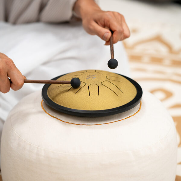 Meinl Sonic Energy Steel Tongue Drum 7″ Ø 17,8cm Small Do Minore Gold SSTD3G