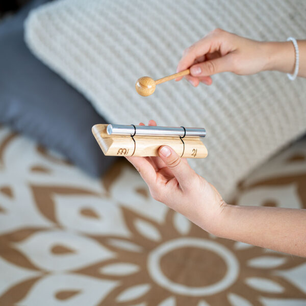 Meinl Sonic Energy Chime Planetario Jupiter 2937.28 Hz EC-J