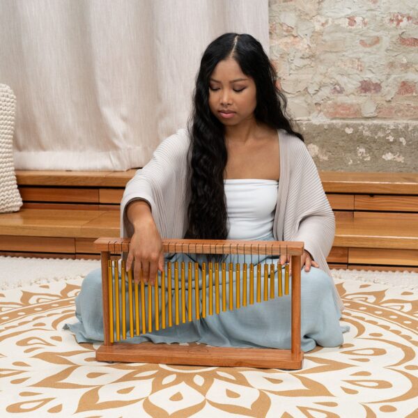 Meinl Sonic Energy Chimes con Supporto Walnut Brown 27 BarreTCH27RP