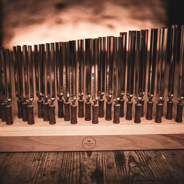 Meinl Sonic Energy Set 27pz Diapason Tuning Fork con Supporto TF-SET-27