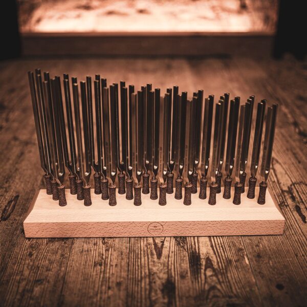 Meinl Sonic Energy Set 27pz Diapason Therapy Tuning Fork con Supporto TTF-SET-27