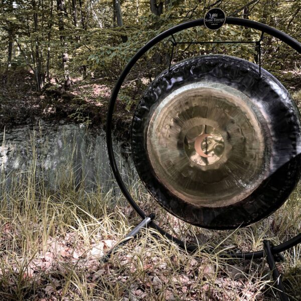 Meinl Sonic Energy Gong Planetario 24″ Ø 61cm Synodic Moon 210.42 Hz G24-M-SY