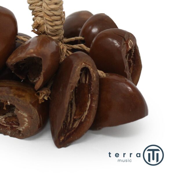 Colanut Sonagli Rattle Nut Shaker