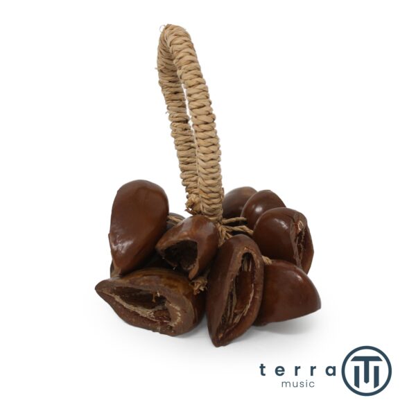 Colanut Sonagli Rattle Nut Shaker