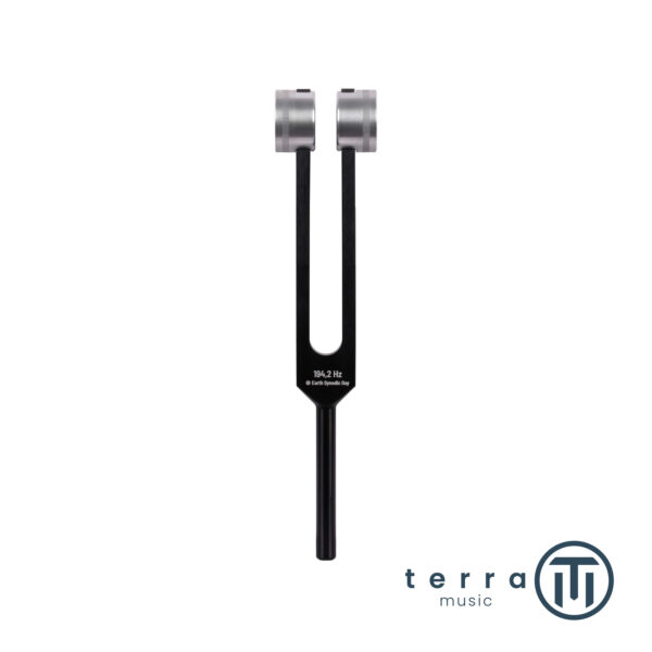 Schlagwerk Diapason Pesato Power Tuning Fork Earth Synodic Day 194.2 Hz PTF-DY
