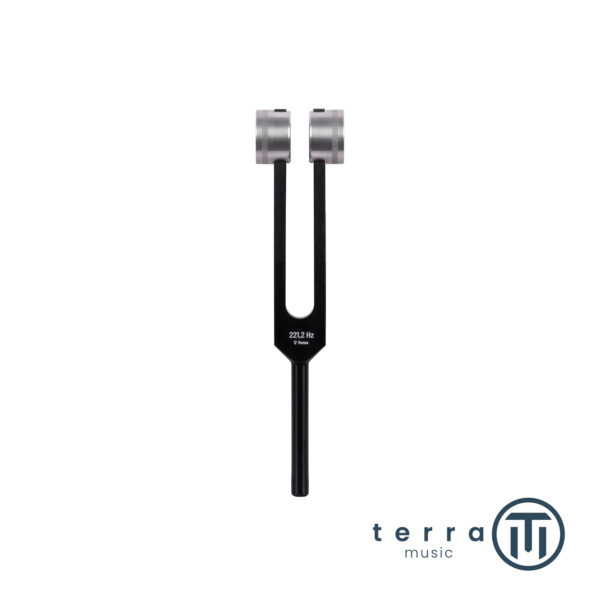 Schlagwerk Diapason Pesato Power Tuning Fork Venus 221.2 Hz PTF-VE