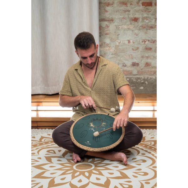 Meinl Sonic Energy Steel Tongue Drum 16″ Ø 40cm Octave Fa Maggiore Dark Green Floreal OSTD3DGE