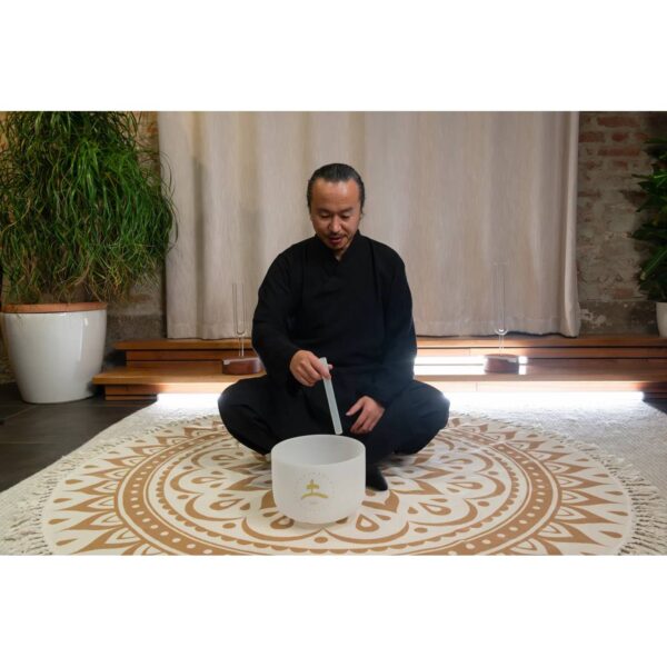 Meinl Sonic Energy Campana di Cristallo 10″ Ø 25cm 256 Hz Terra TCMCSB10-E