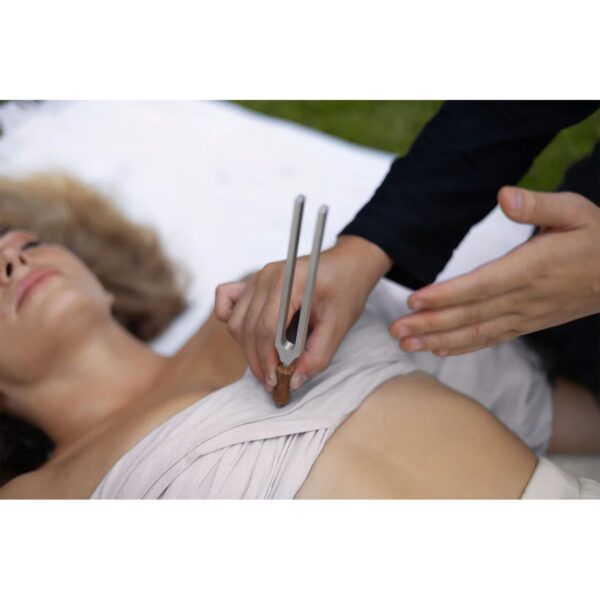 Meinl Sonic Energy Set 2pz Diapason TMC Therapy Tuning Fork Yin & Yang TTF-TCM-YYSET